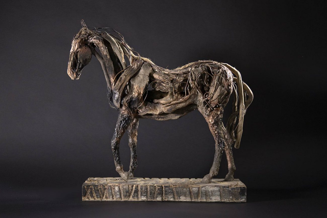 Buccaneer (left side) - © Heather Jansch. All Rights Reserved.