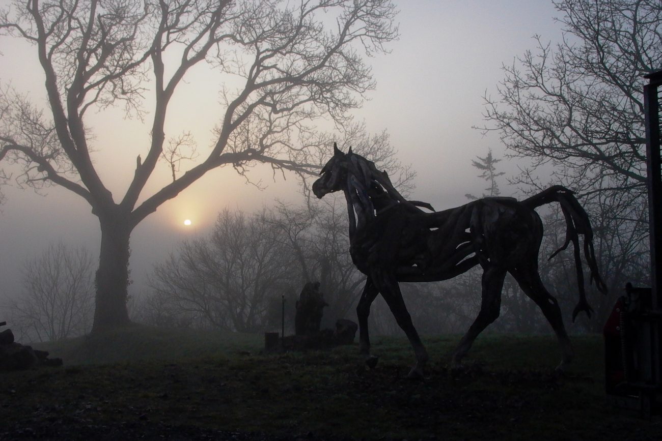 Apollo in the mist - © Heather Jansch. All Rights Reserved.
