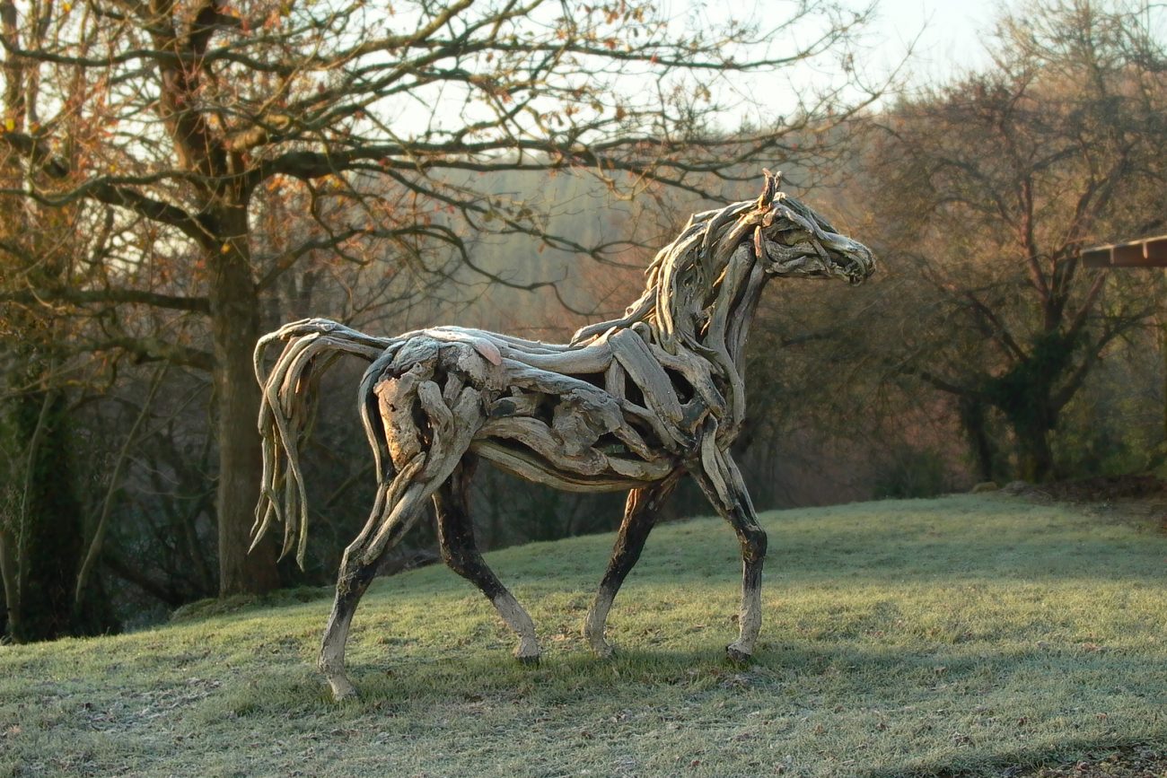 Apollo - © Heather Jansch. All Rights Reserved.