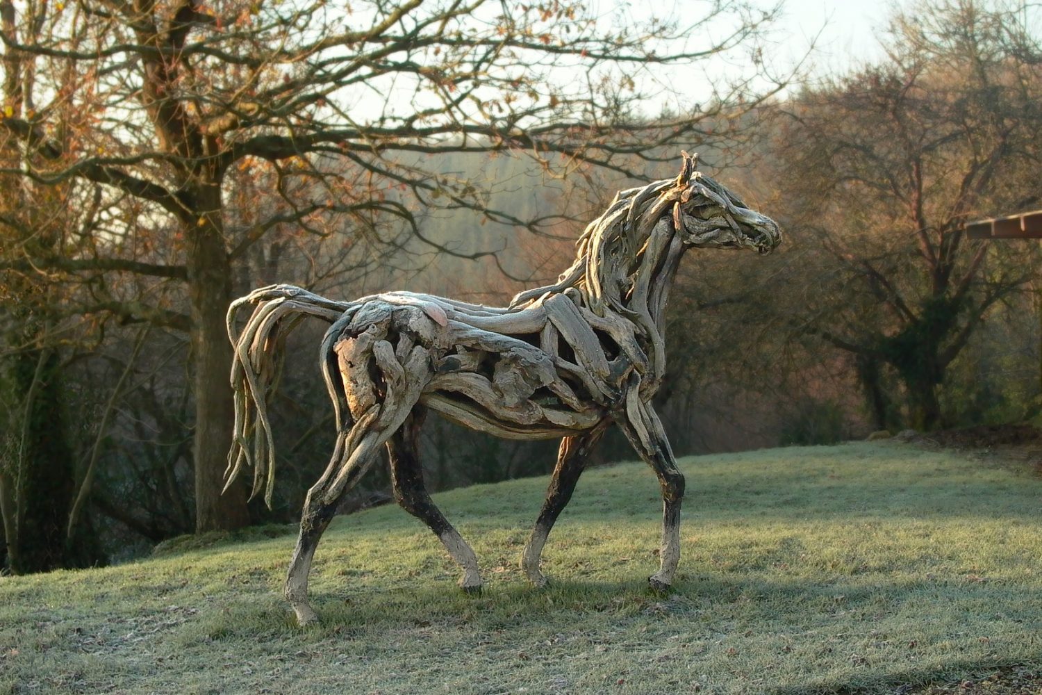 Apollo - © Heather Jansch. All Rights Reserved.