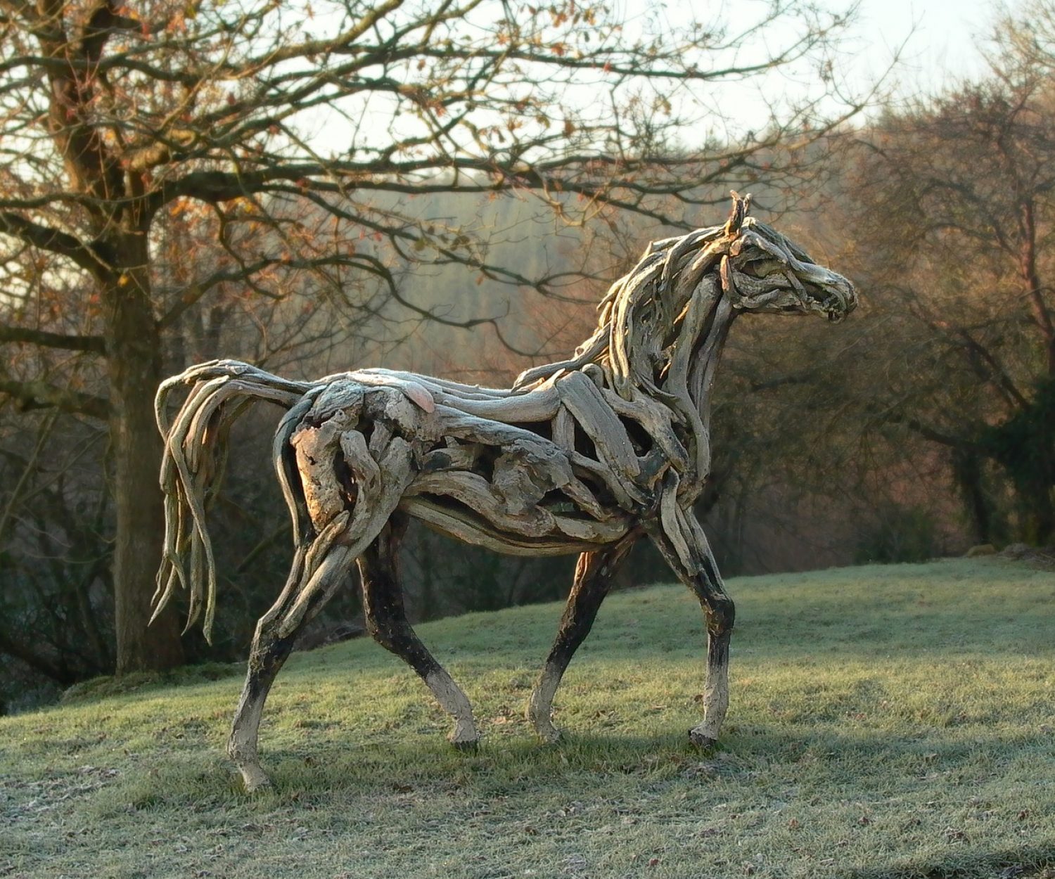 Apollo - © Heather Jansch. All Rights Reserved.