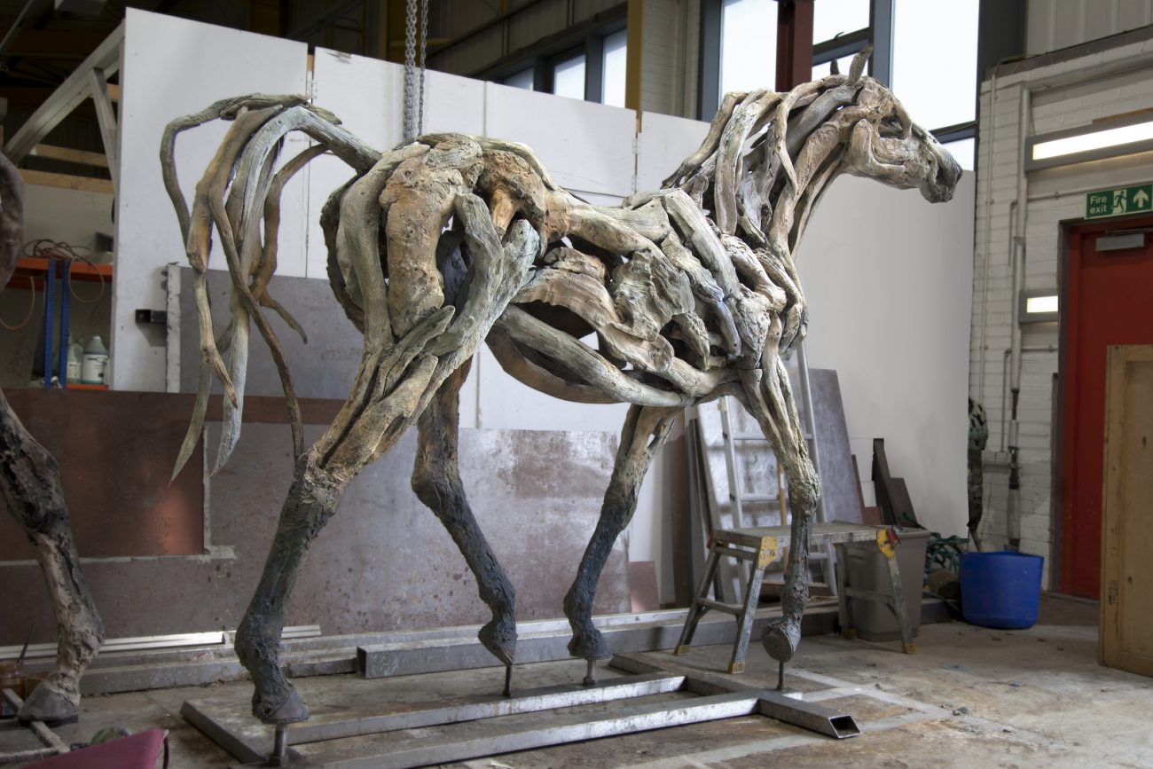 Apollo - © Heather Jansch. All Rights Reserved.