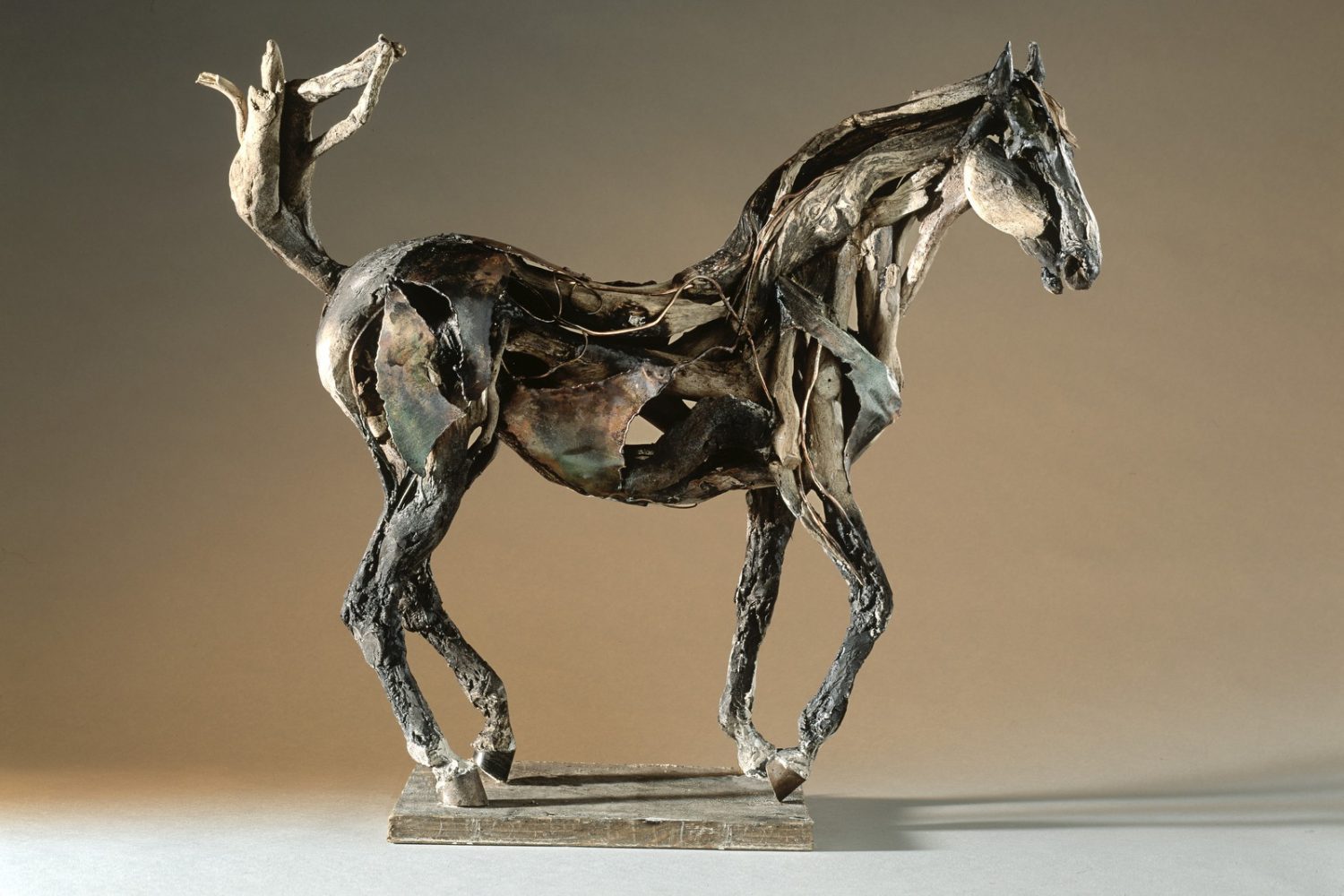 Beethoven - © Heather Jansch. All Rights Reserved.