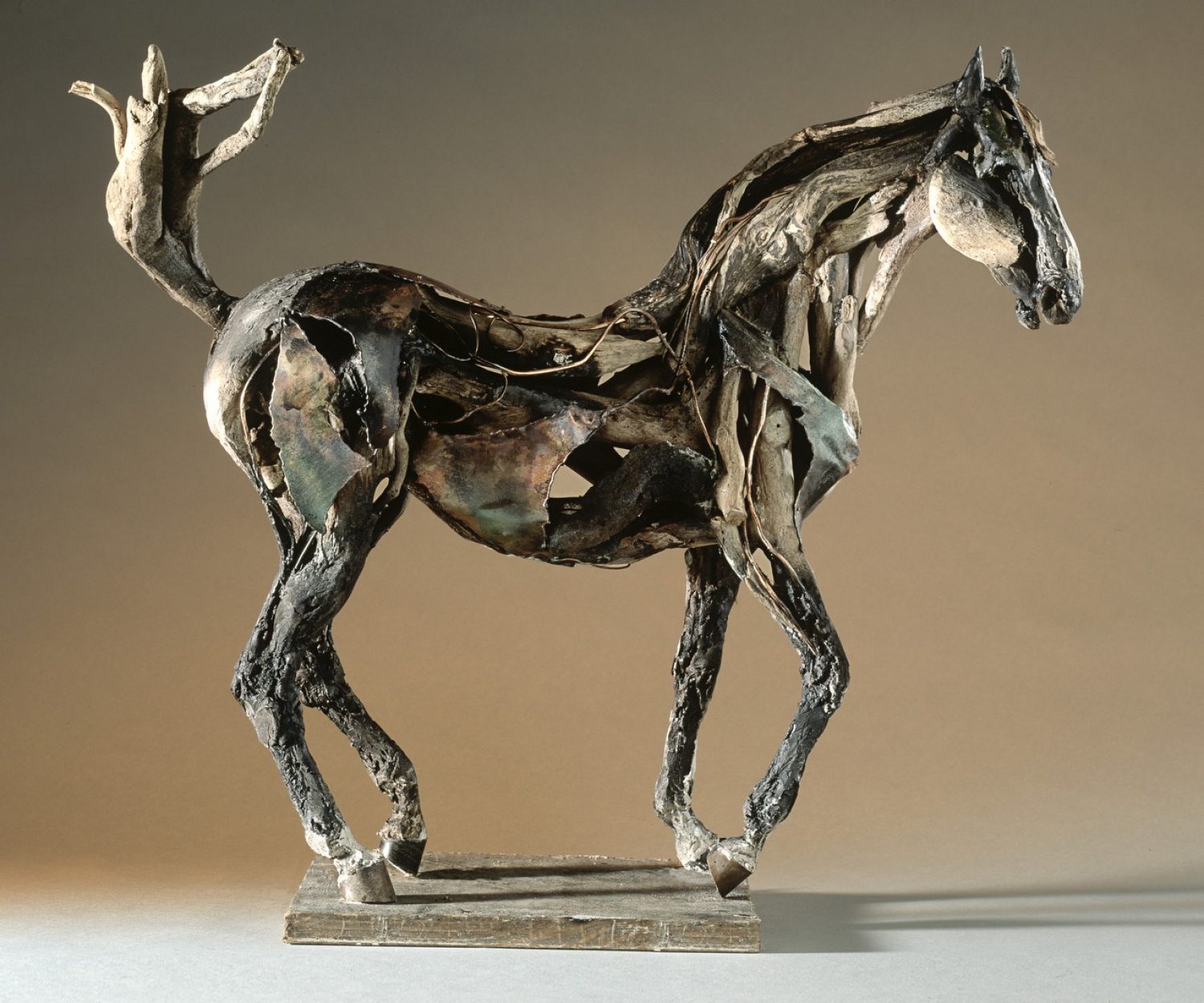 Beethoven - © Heather Jansch. All Rights Reserved.