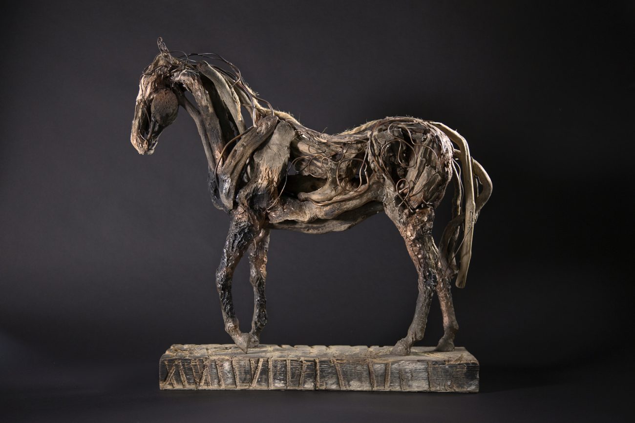 Buccaneer - © Heather Jansch. All Rights Reserved.