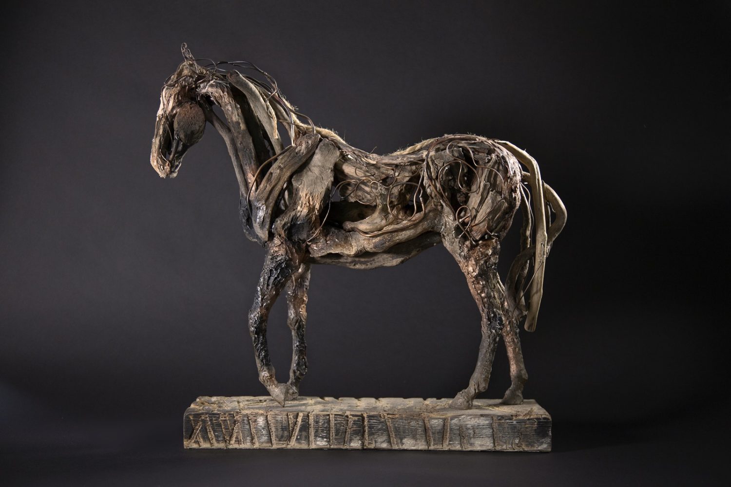 Buccaneer - © Heather Jansch. All Rights Reserved.