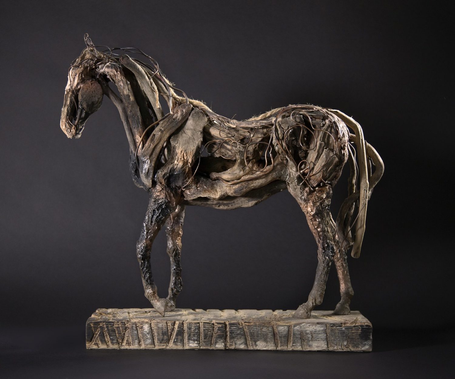 Buccaneer - © Heather Jansch. All Rights Reserved.