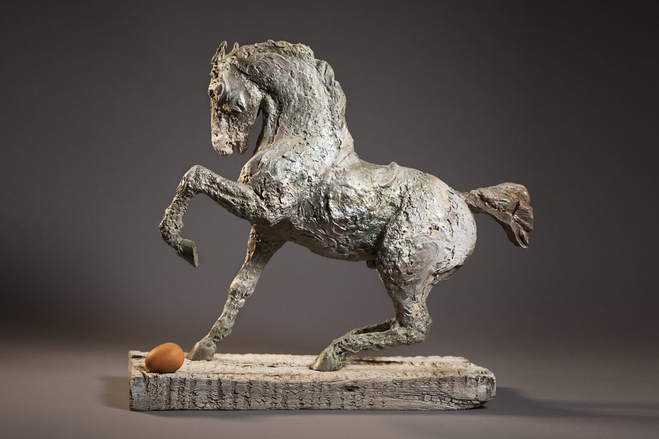 Cicero (left side) - © Heather Jansch. All Rights Reserved.