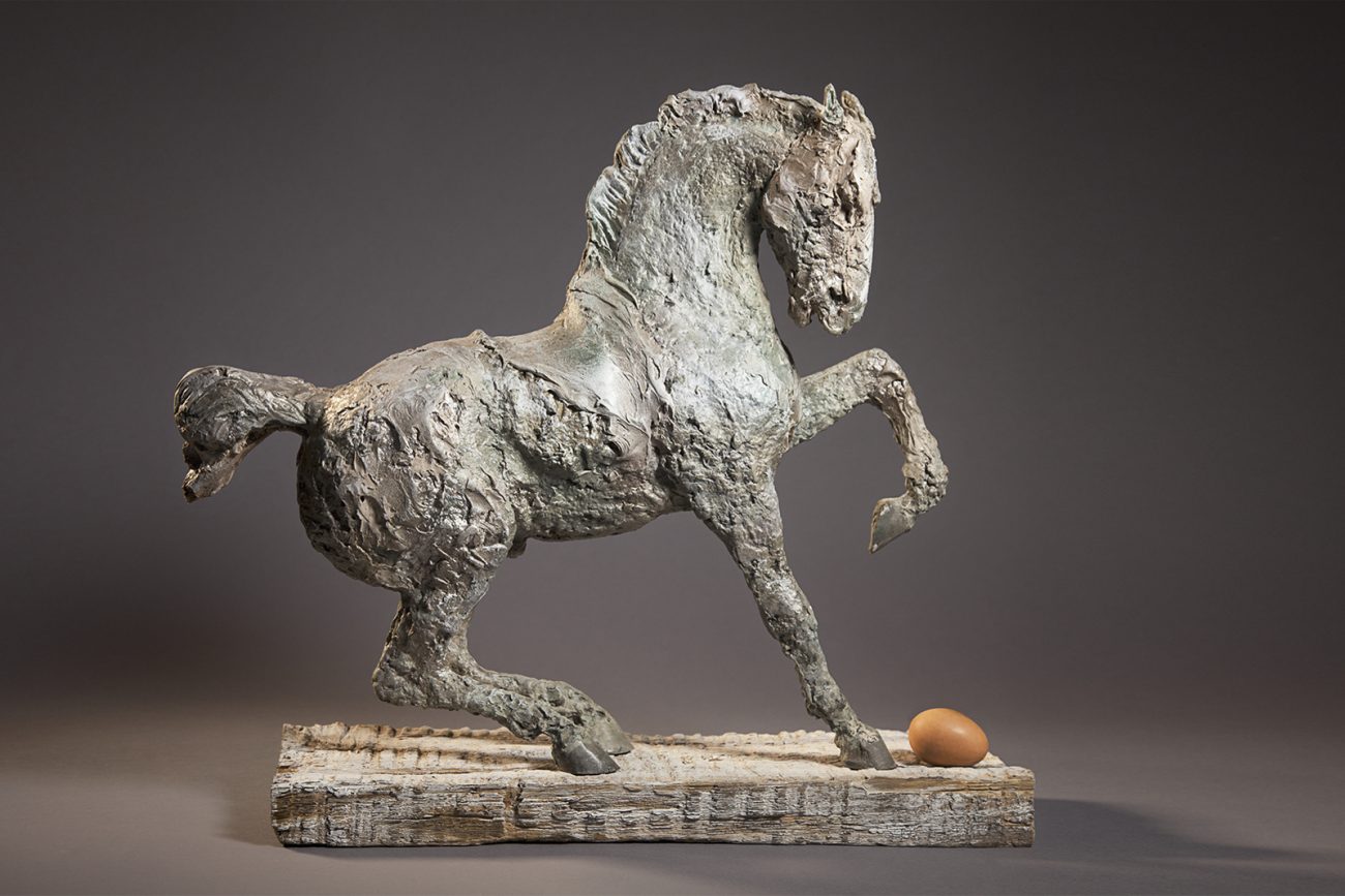 Cicero (right side) - © Heather Jansch. All Rights Reserved.