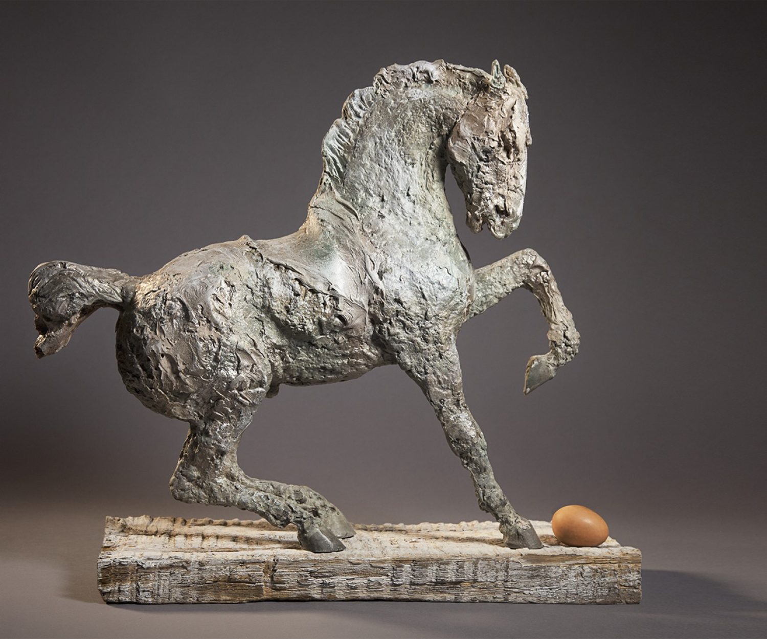 Cicero (right side) - © Heather Jansch. All Rights Reserved.