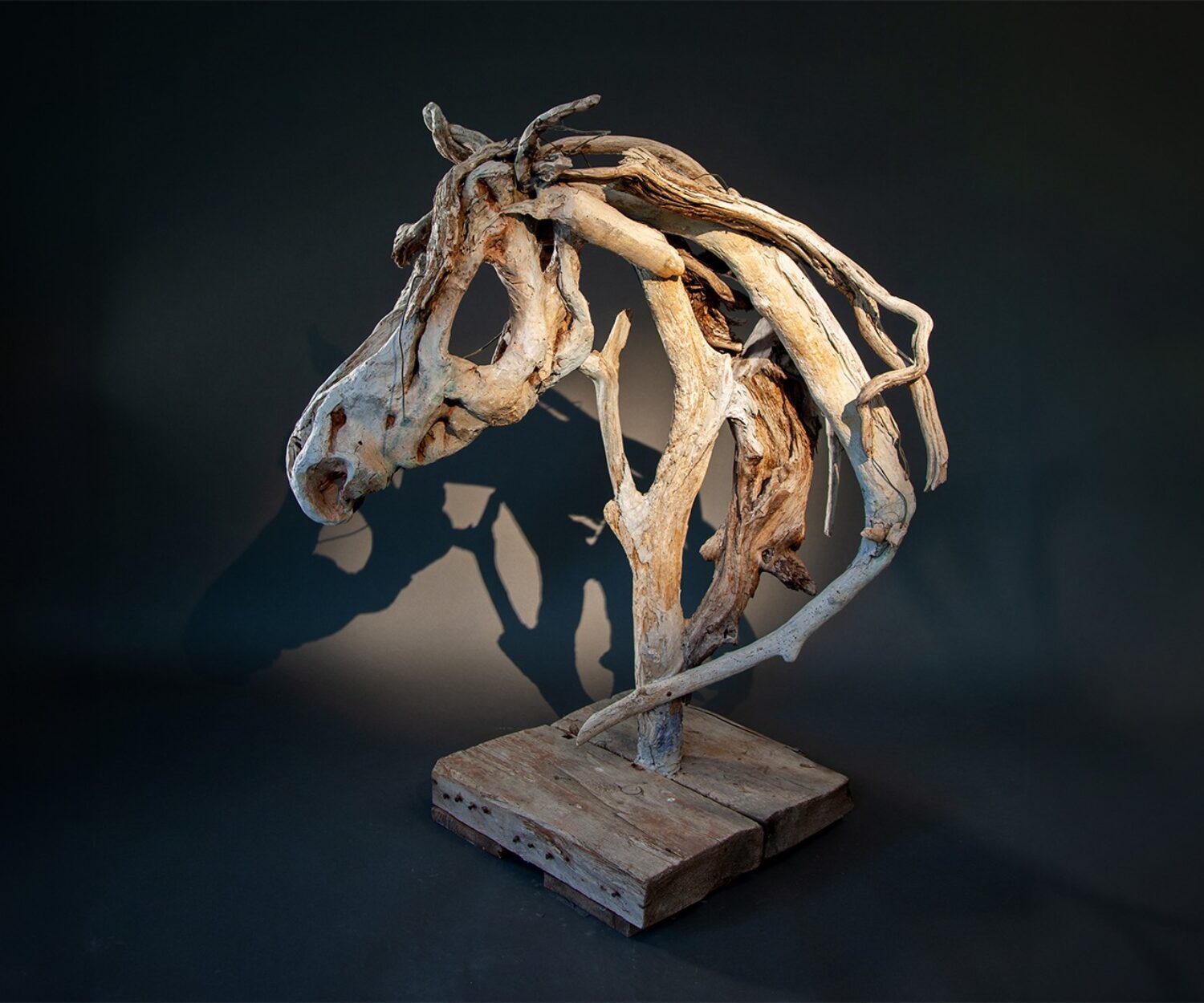 Day and Night by Heather Jansch