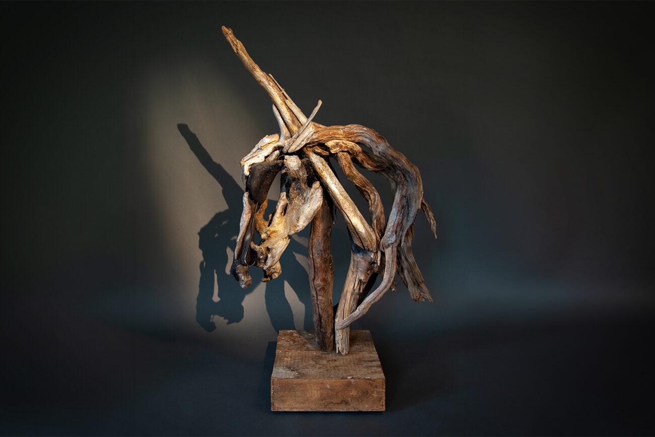 Driftwood Head No. 2 by Heather Jansch
