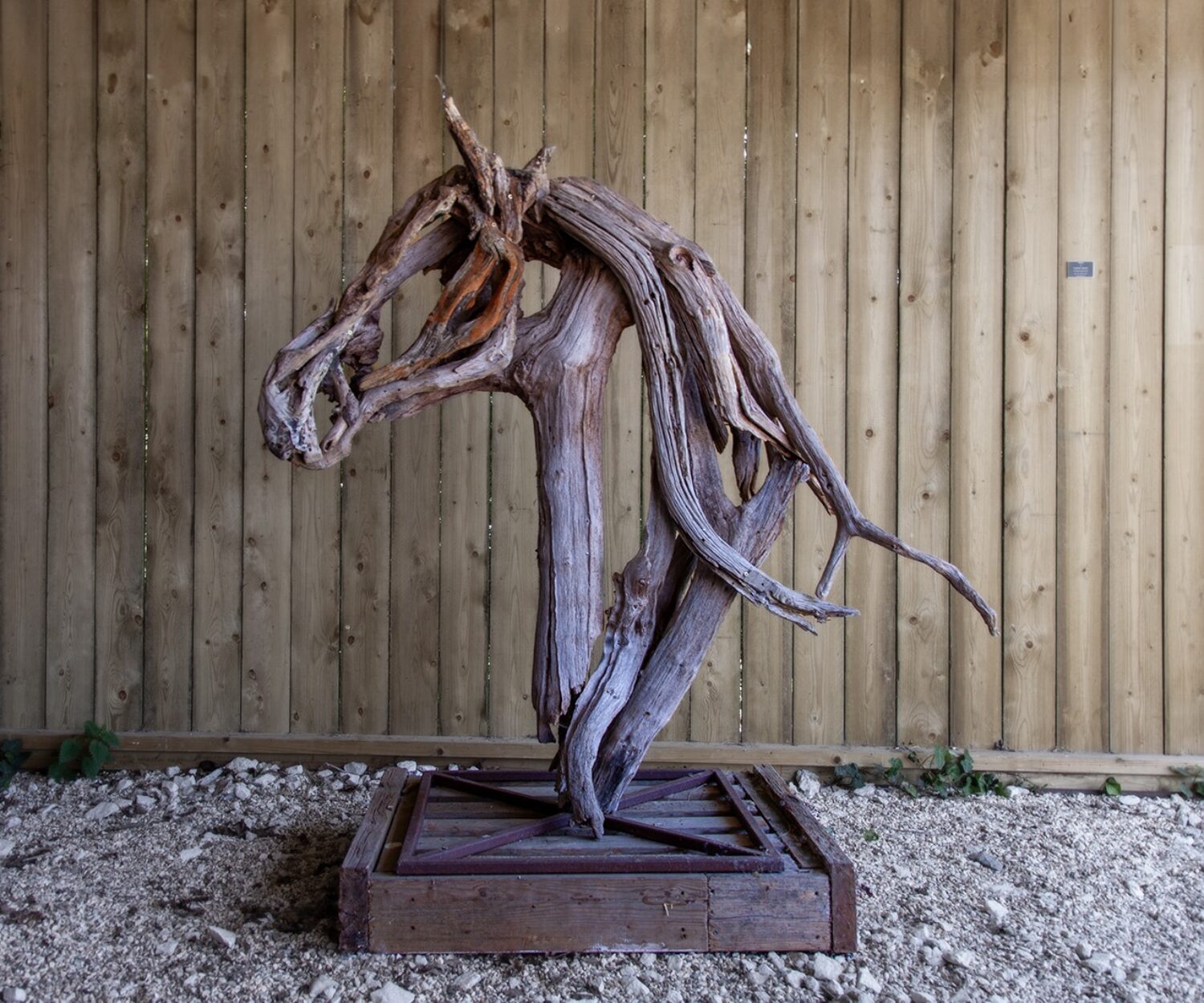 Hero - © Heather Jansch. All Rights Reserved.