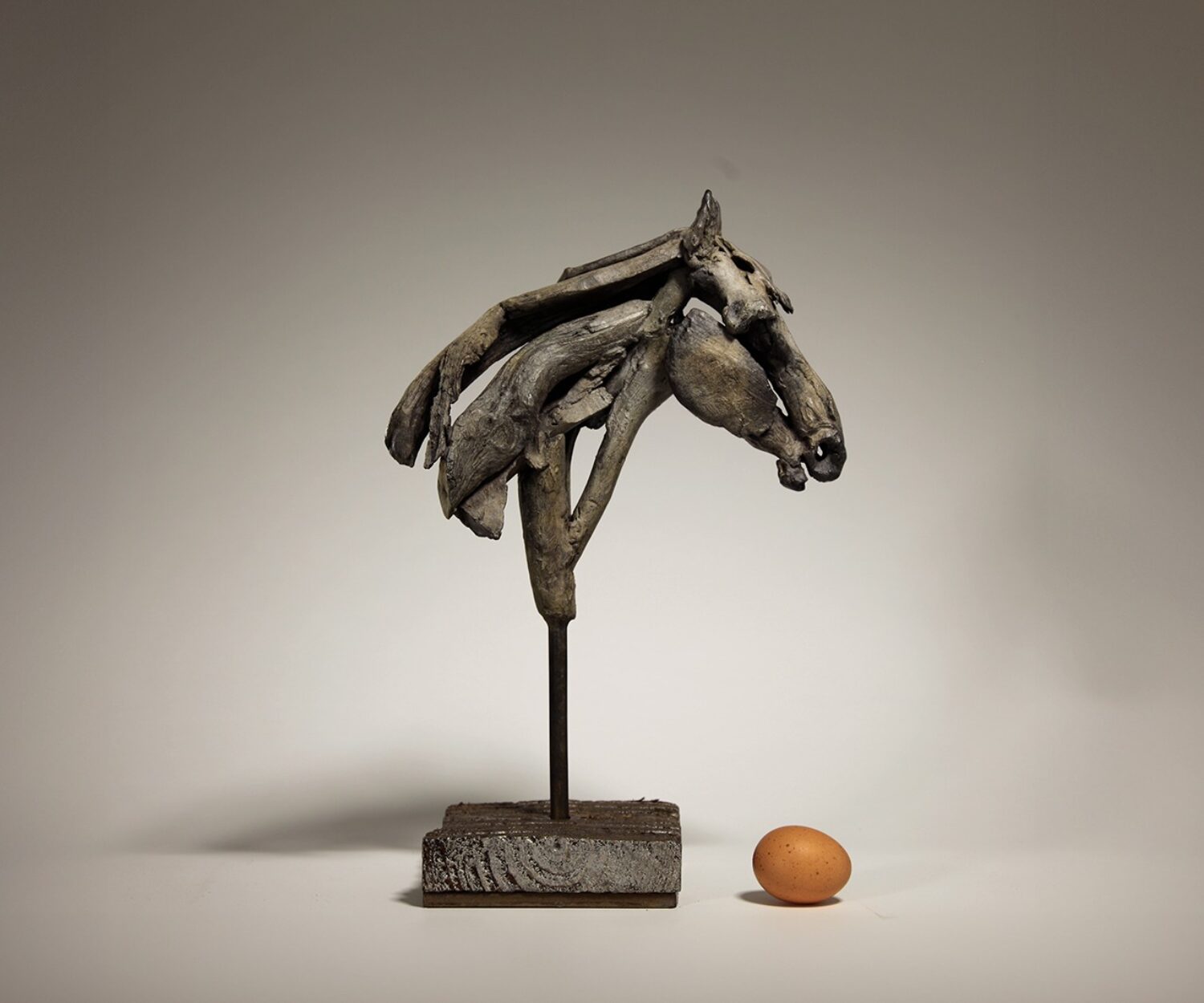 Beethoven (head) - © Heather Jansch. All Rights Reserved.