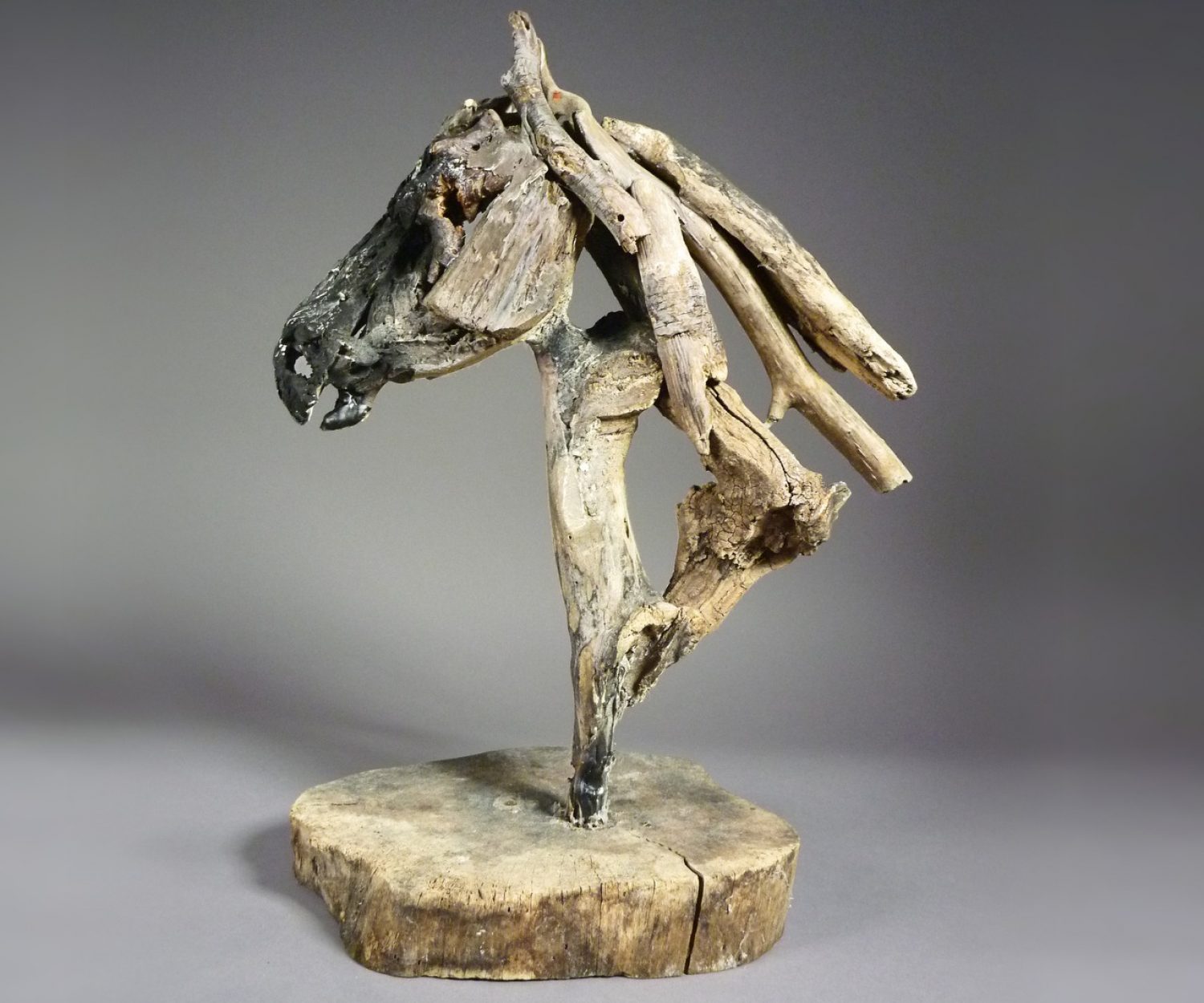 Jupiter (right side) - © Heather Jansch. All Rights Reserved.