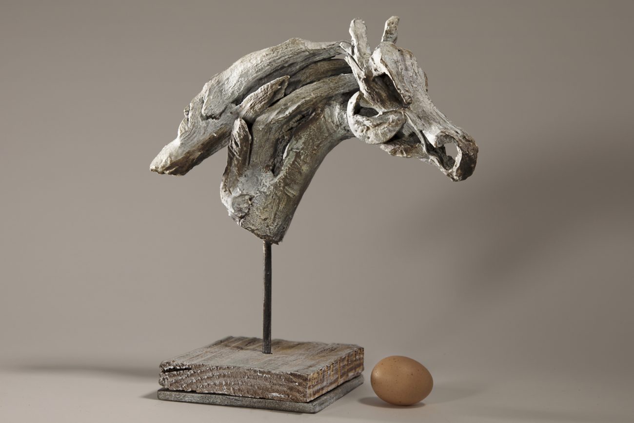 Rara (Head) - © Heather Jansch. All Rights Reserved.