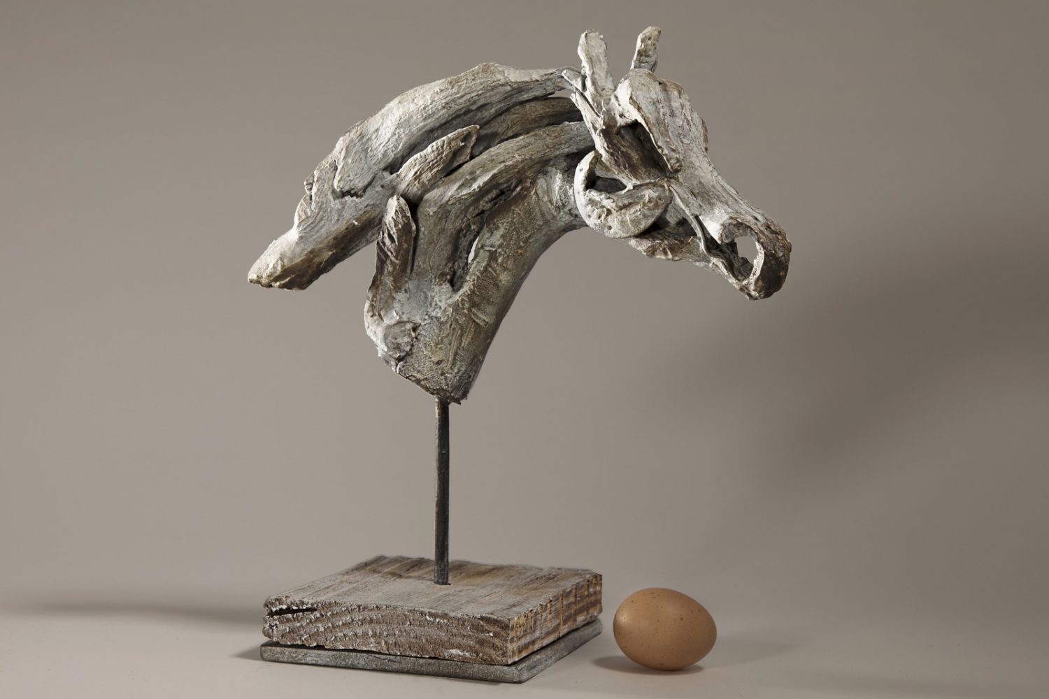 Rara (Head) - © Heather Jansch. All Rights Reserved.