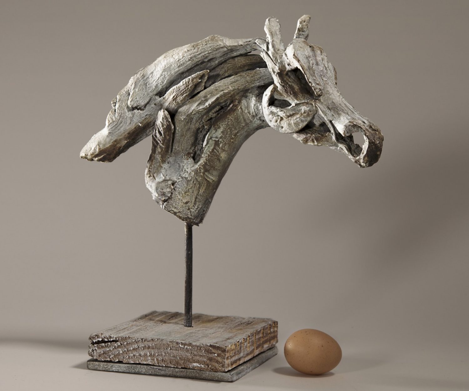 Rara (Head) - © Heather Jansch. All Rights Reserved.