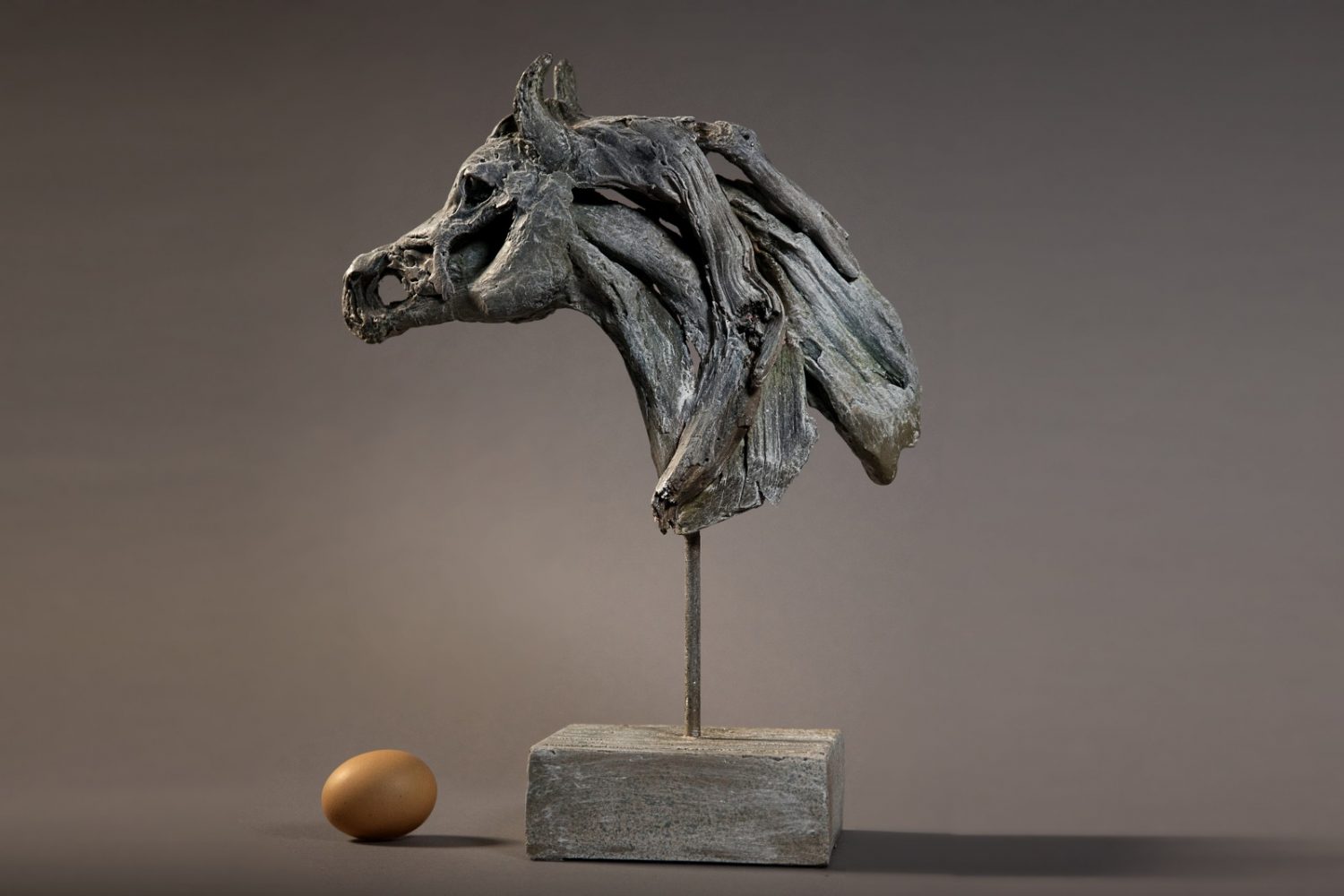 Sophia - © Heather Jansch. All Rights Reserved.