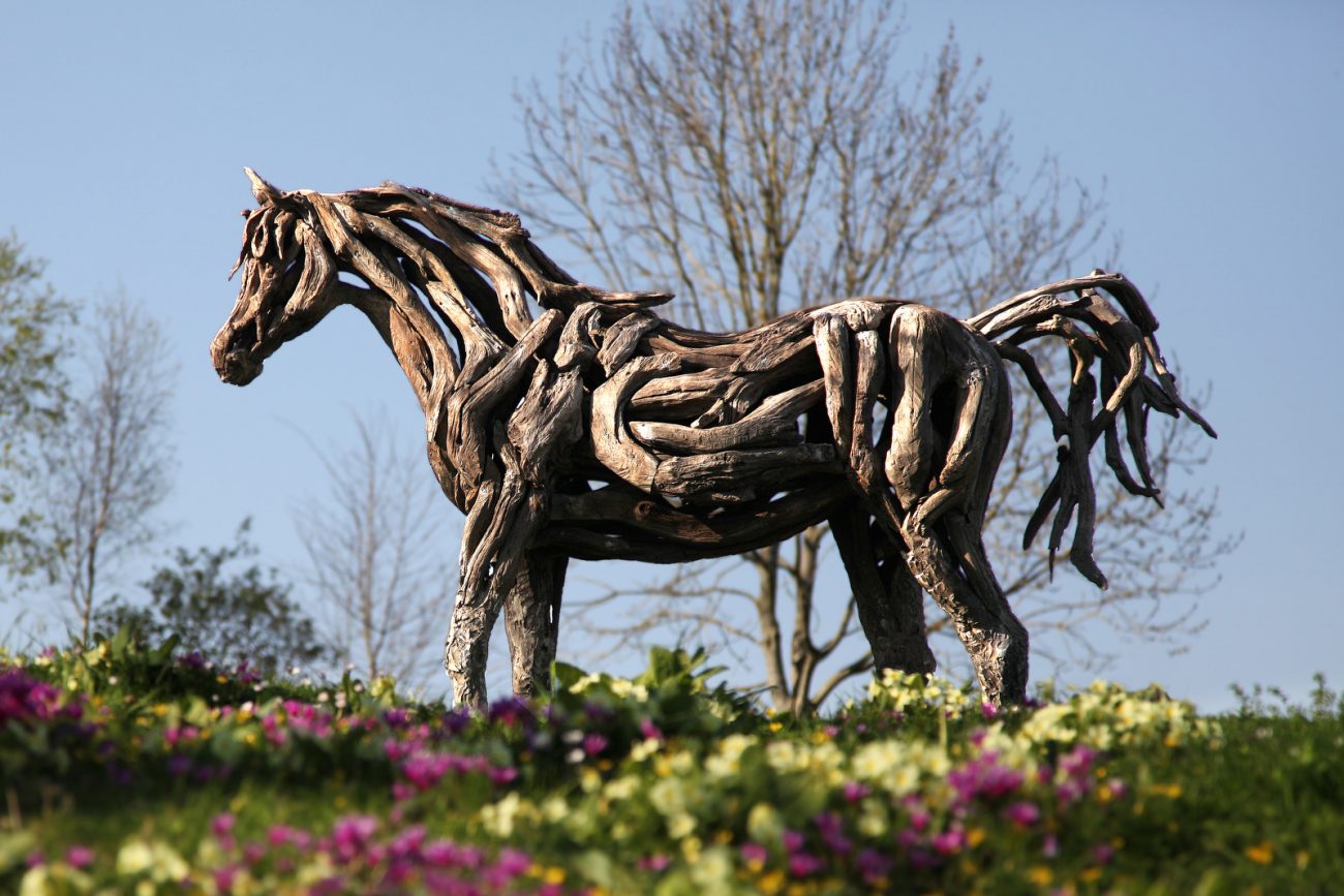 The Young Arabian - © Heather Jansch. All Rights Reserved.