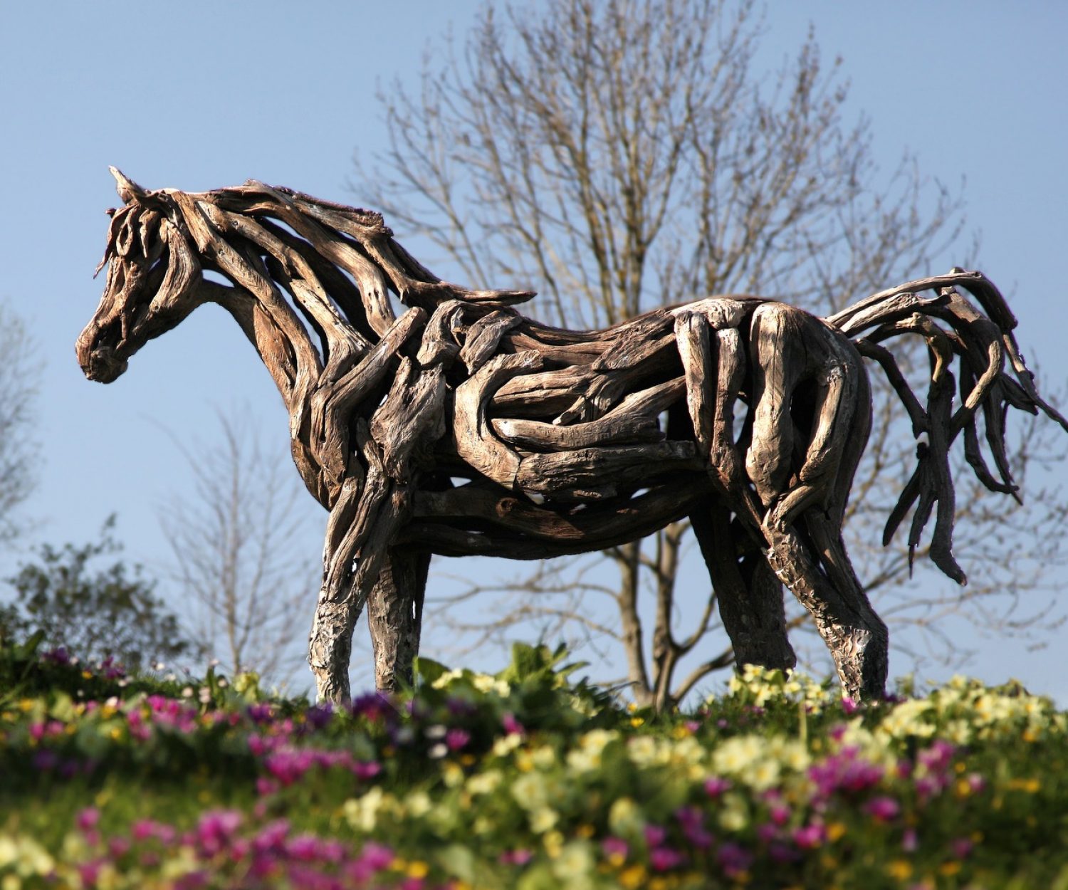 The Young Arabian - © Heather Jansch. All Rights Reserved.