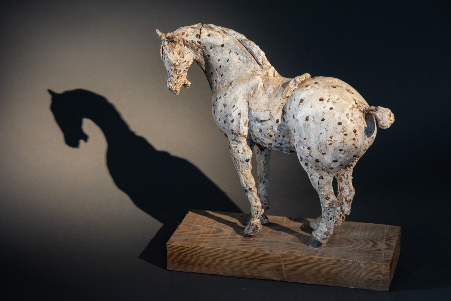 Chinoise Horse (Plaster Original) - © Heather Jansch. All Rights Reserved.