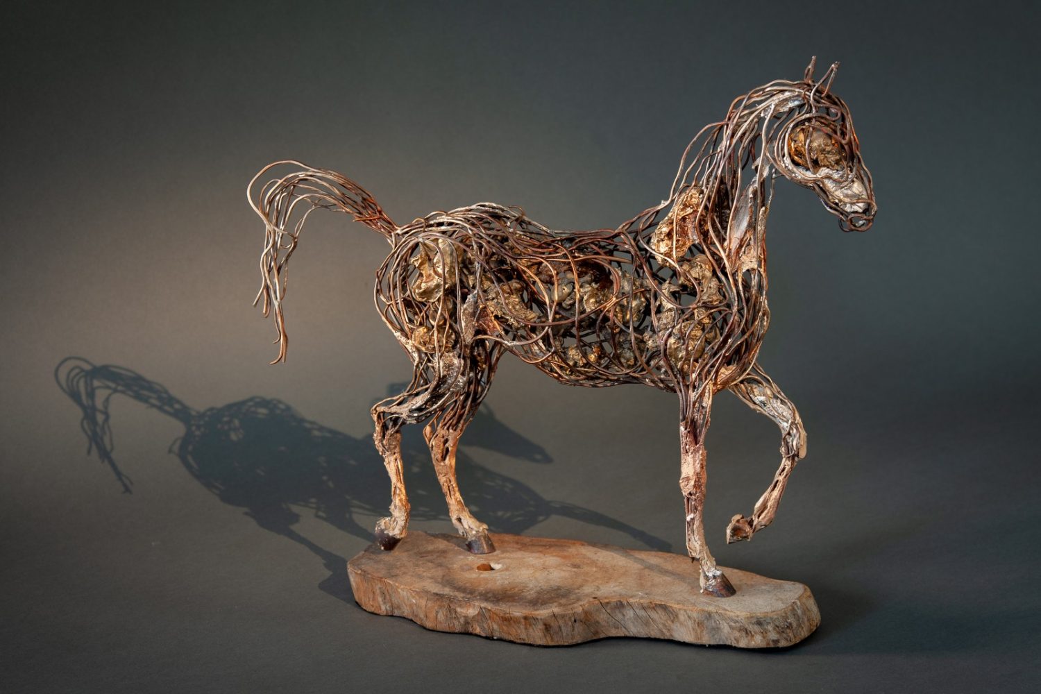 Copper Colt (right side) - © Heather Jansch. All Rights Reserved.
