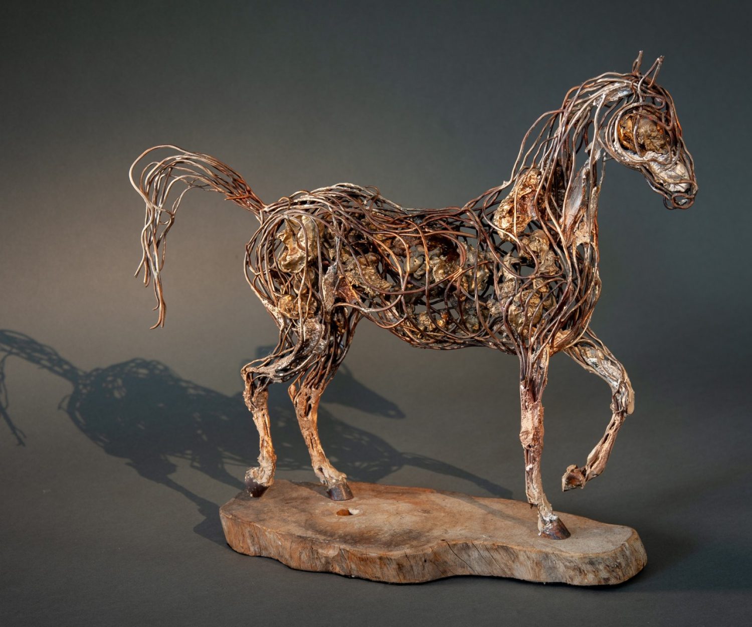 Copper Colt (right side) - © Heather Jansch. All Rights Reserved.