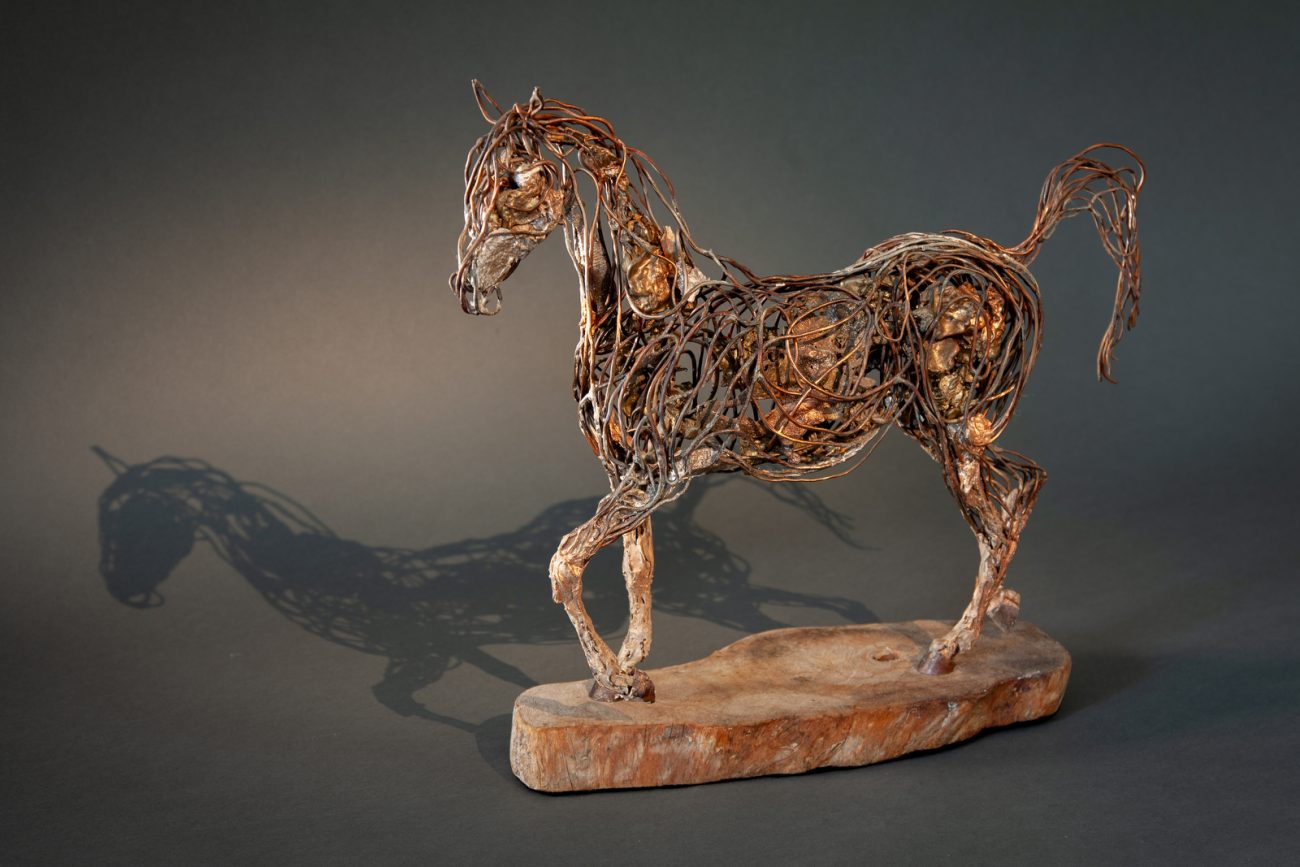 Copper Colt (left side) - © Heather Jansch. All Rights Reserved.