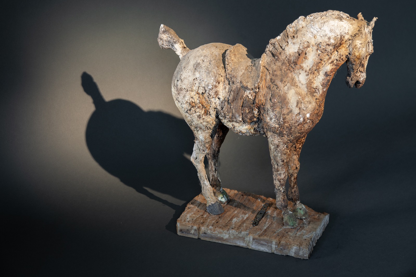 Magic Horse (Plaster Original, right side) - © Heather Jansch. All Rights Reserved.