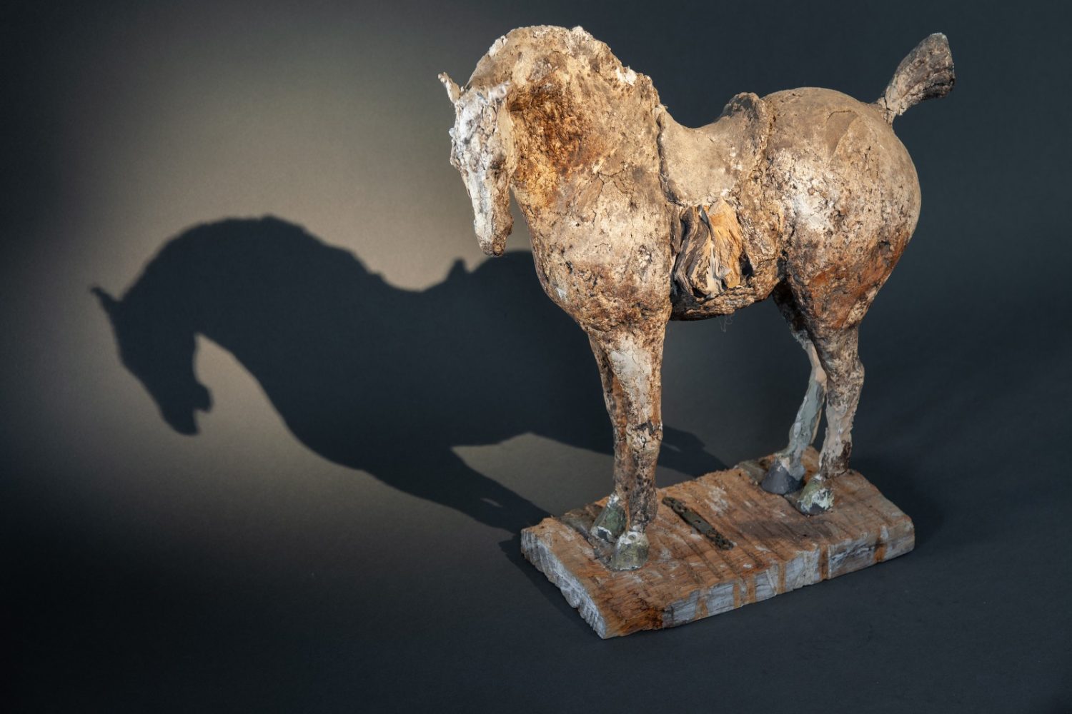 Magic Horse (Plaster Original, left side) - © Heather Jansch. All Rights Reserved.