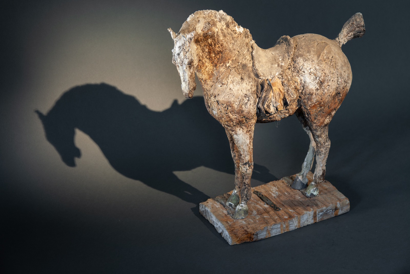 Magic Horse (Plaster Original, left side) - © Heather Jansch. All Rights Reserved.