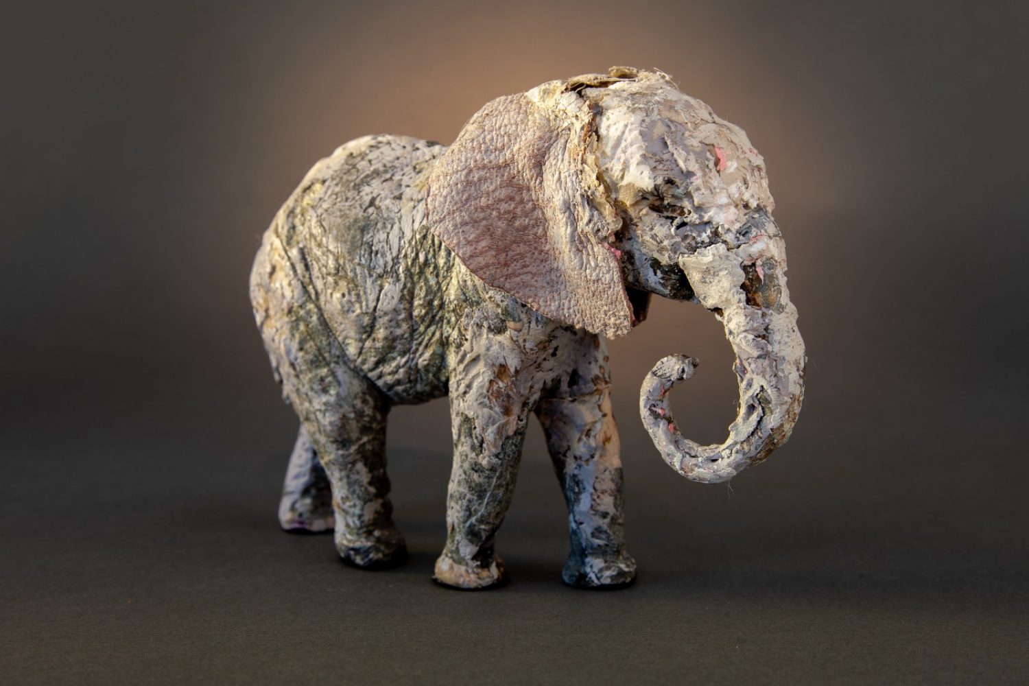 Matriarch - © Heather Jansch. All Rights Reserved.