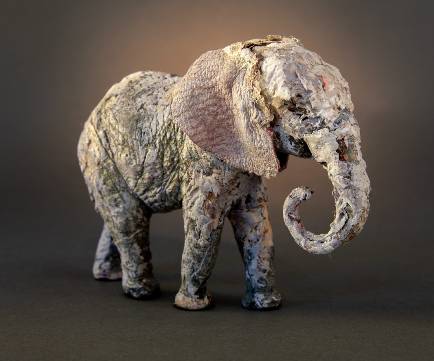 Matriarch - © Heather Jansch. All Rights Reserved.