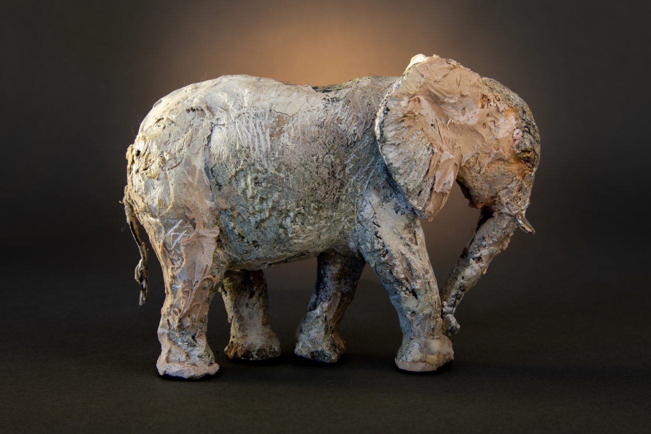 Twin by Heather Jansch