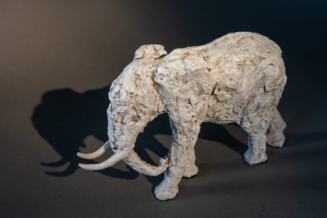 Original Elephant No.6 (left side) - © Heather Jansch. All Rights Reserved.