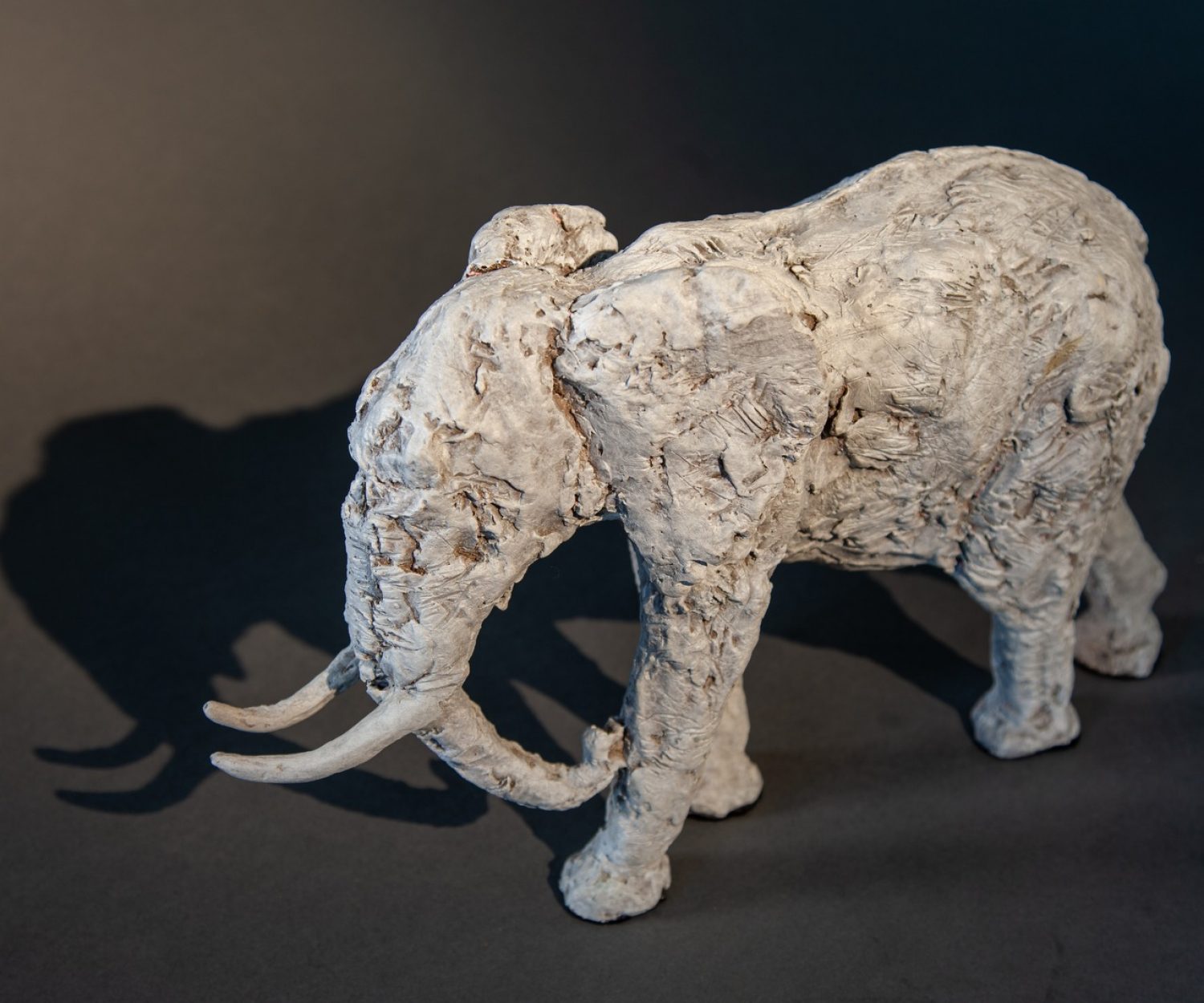 Original Elephant No.6 (left side) - © Heather Jansch. All Rights Reserved.