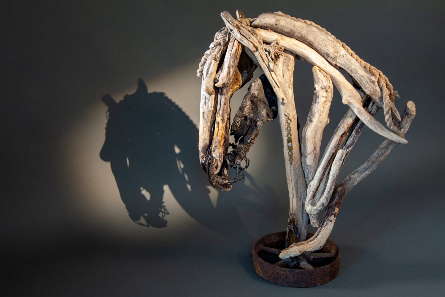 Recruit (right side) - © Heather Jansch. All Rights Reserved.