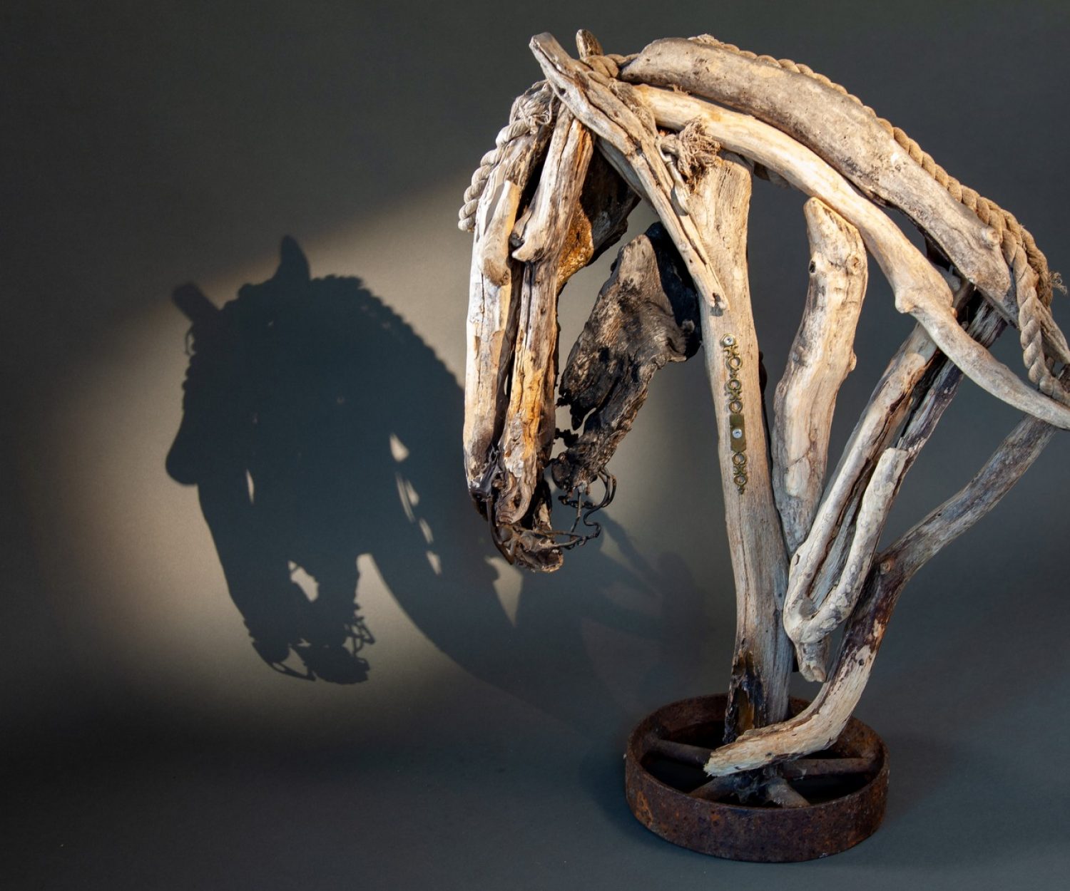 Recruit (right side) - © Heather Jansch. All Rights Reserved.