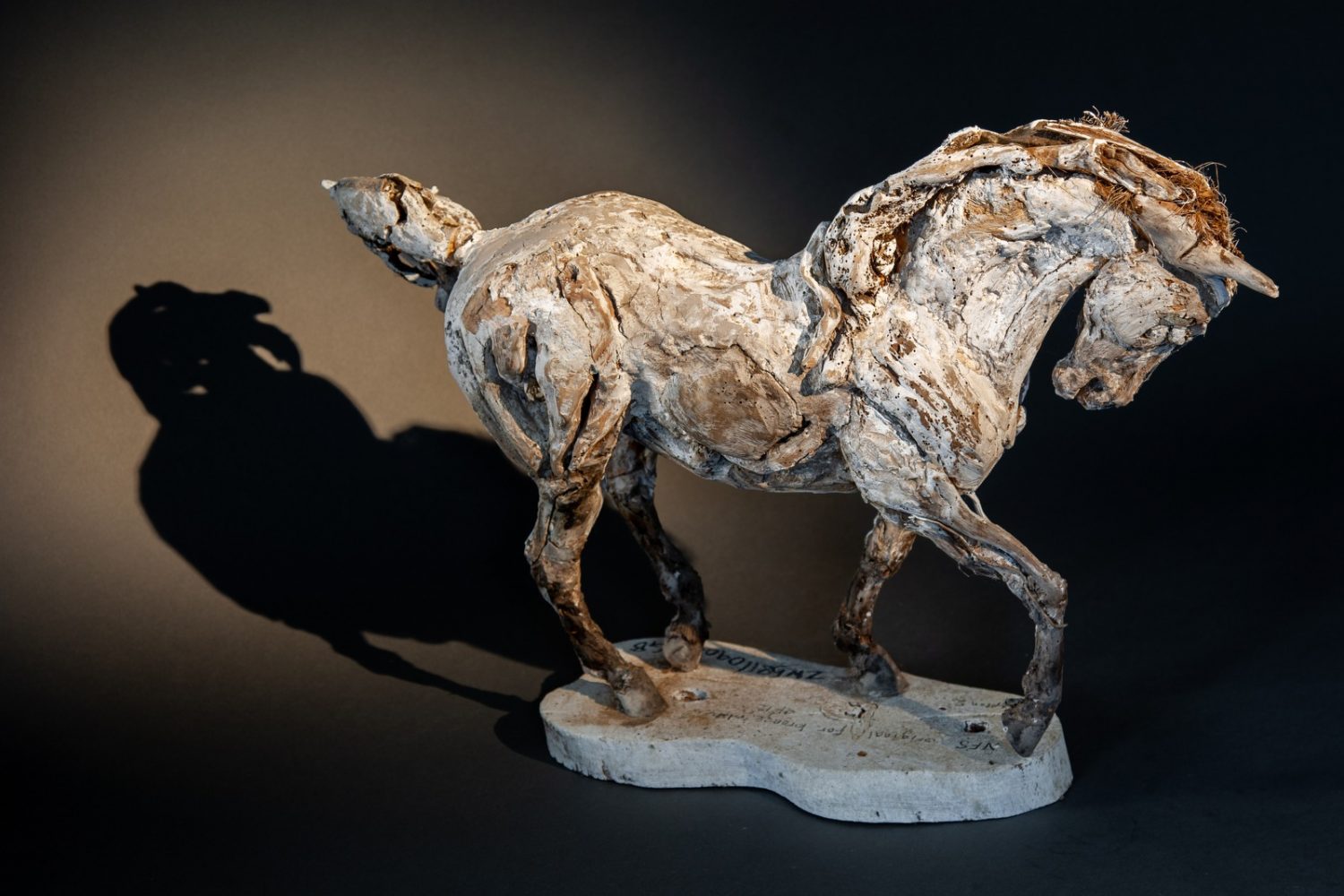 Sampson 2 (right side) - © Heather Jansch. All Rights Reserved.