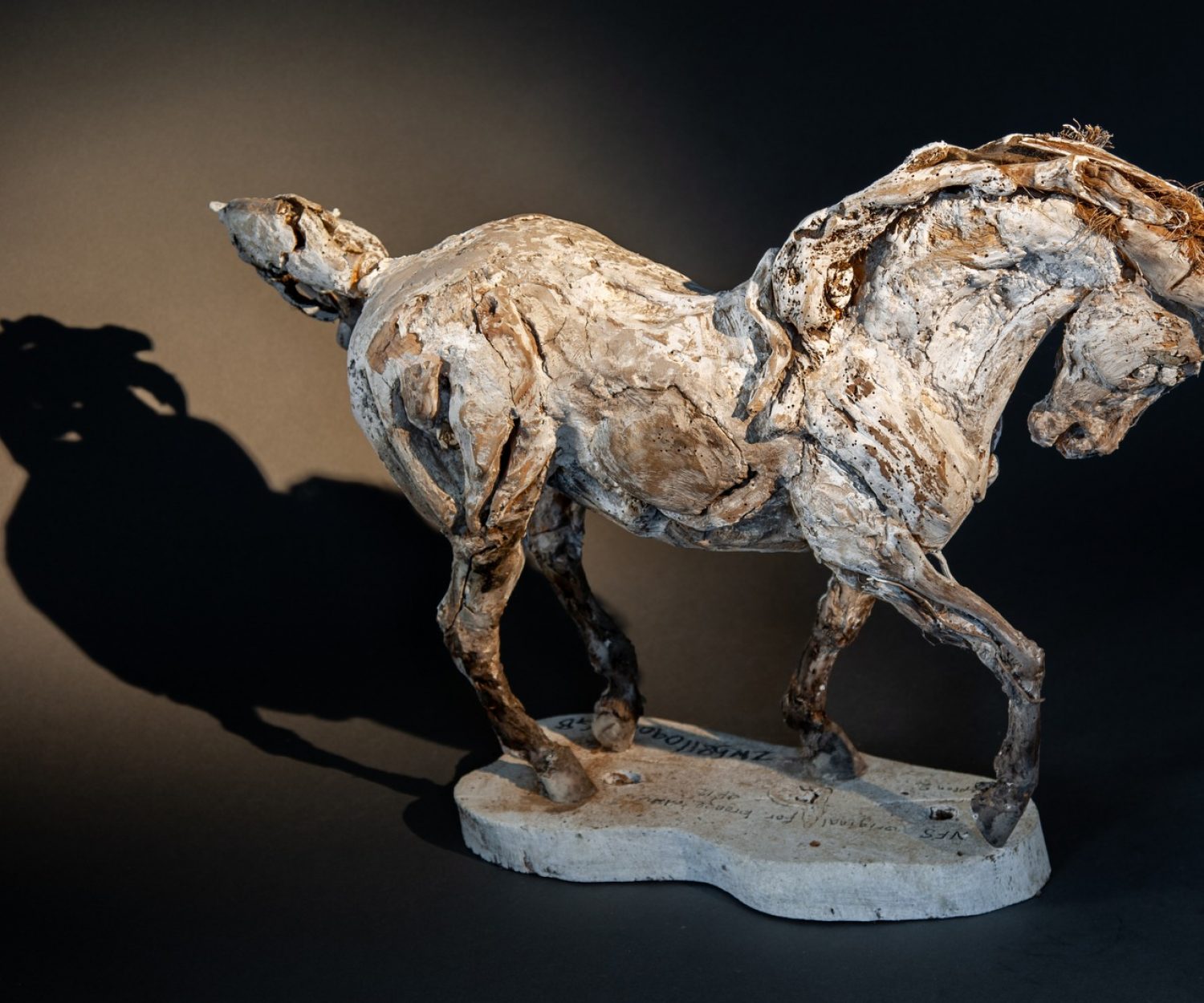 Sampson 2 (right side) - © Heather Jansch. All Rights Reserved.