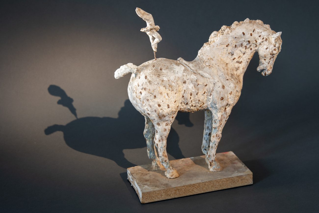 Zingaro - © Heather Jansch. All Rights Reserved.