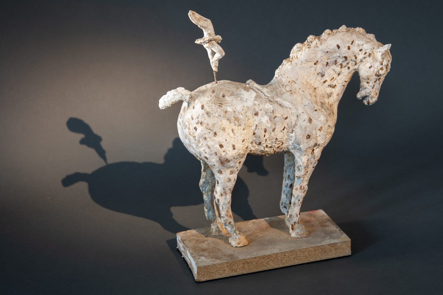 Zingaro - © Heather Jansch. All Rights Reserved.