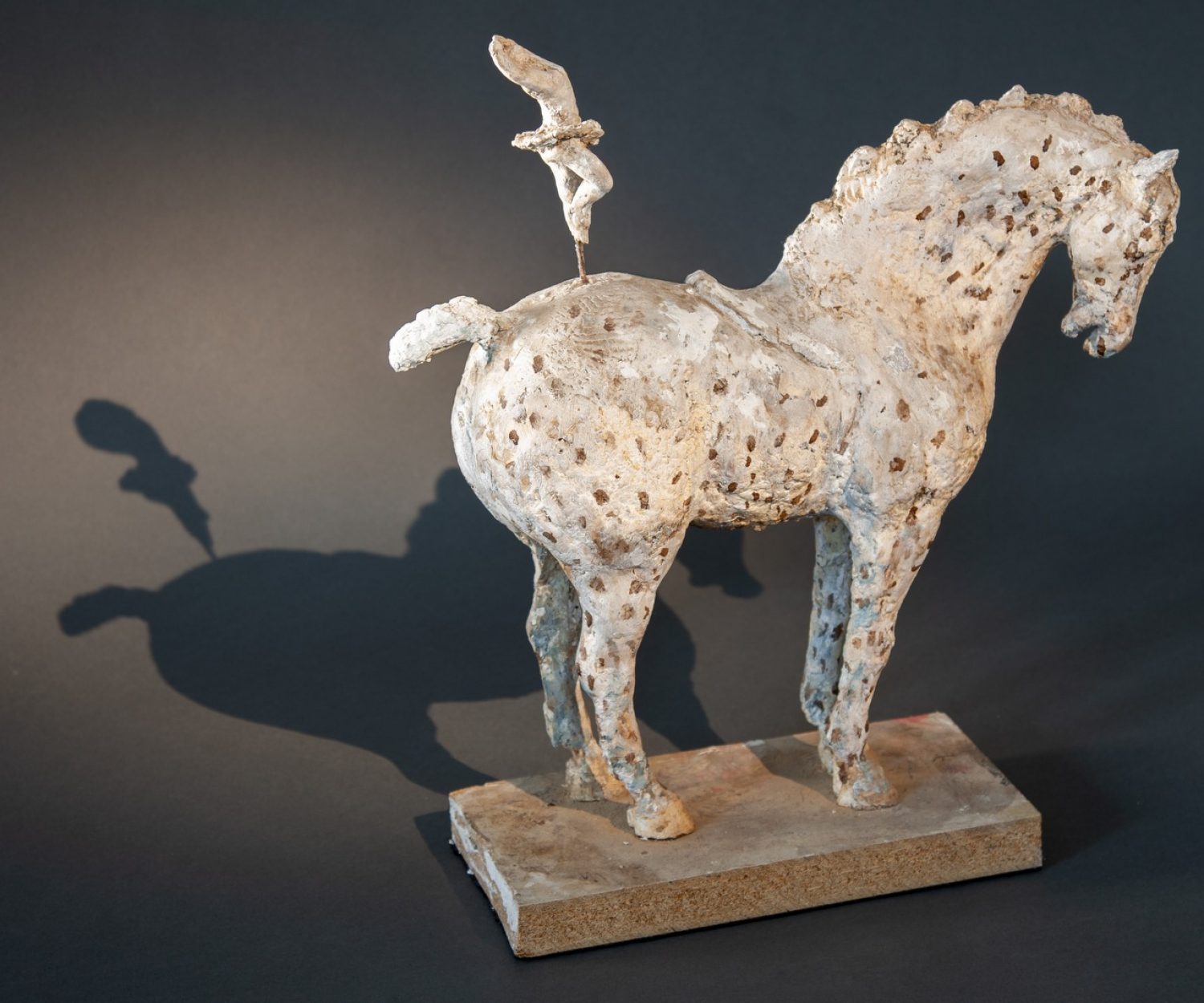 Zingaro - © Heather Jansch. All Rights Reserved.