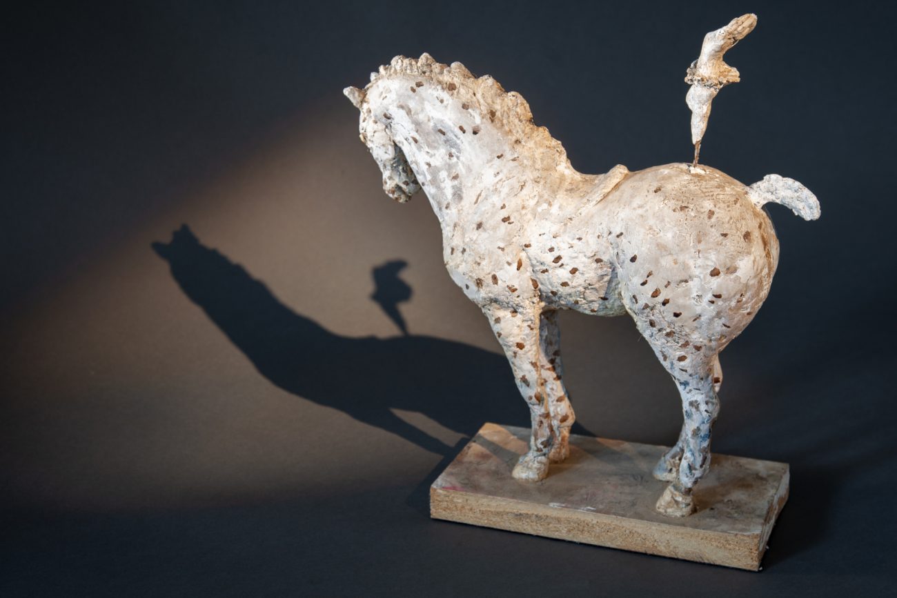 Zingaro - © Heather Jansch. All Rights Reserved.