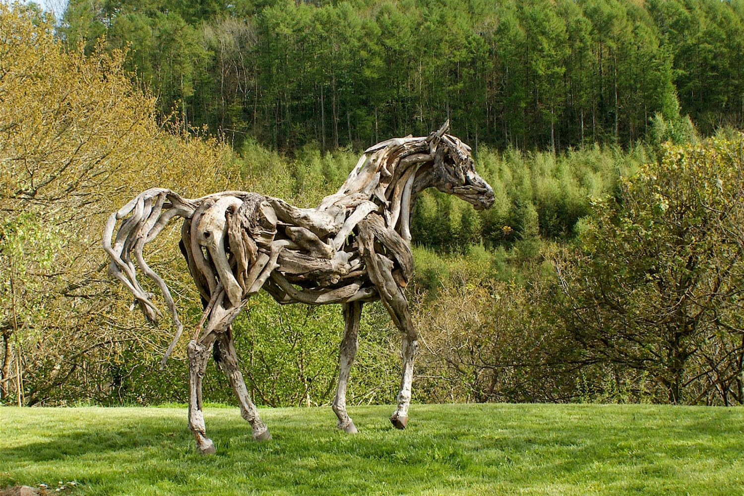 The Eden Horse by Heather Jansch