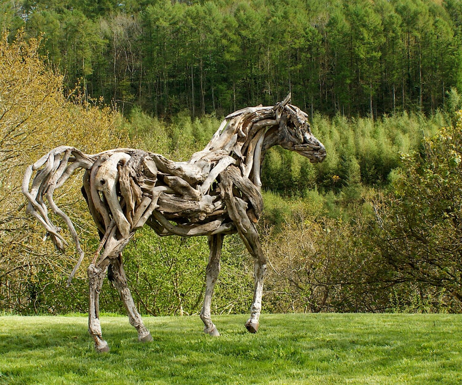 The Eden Horse by Heather Jansch