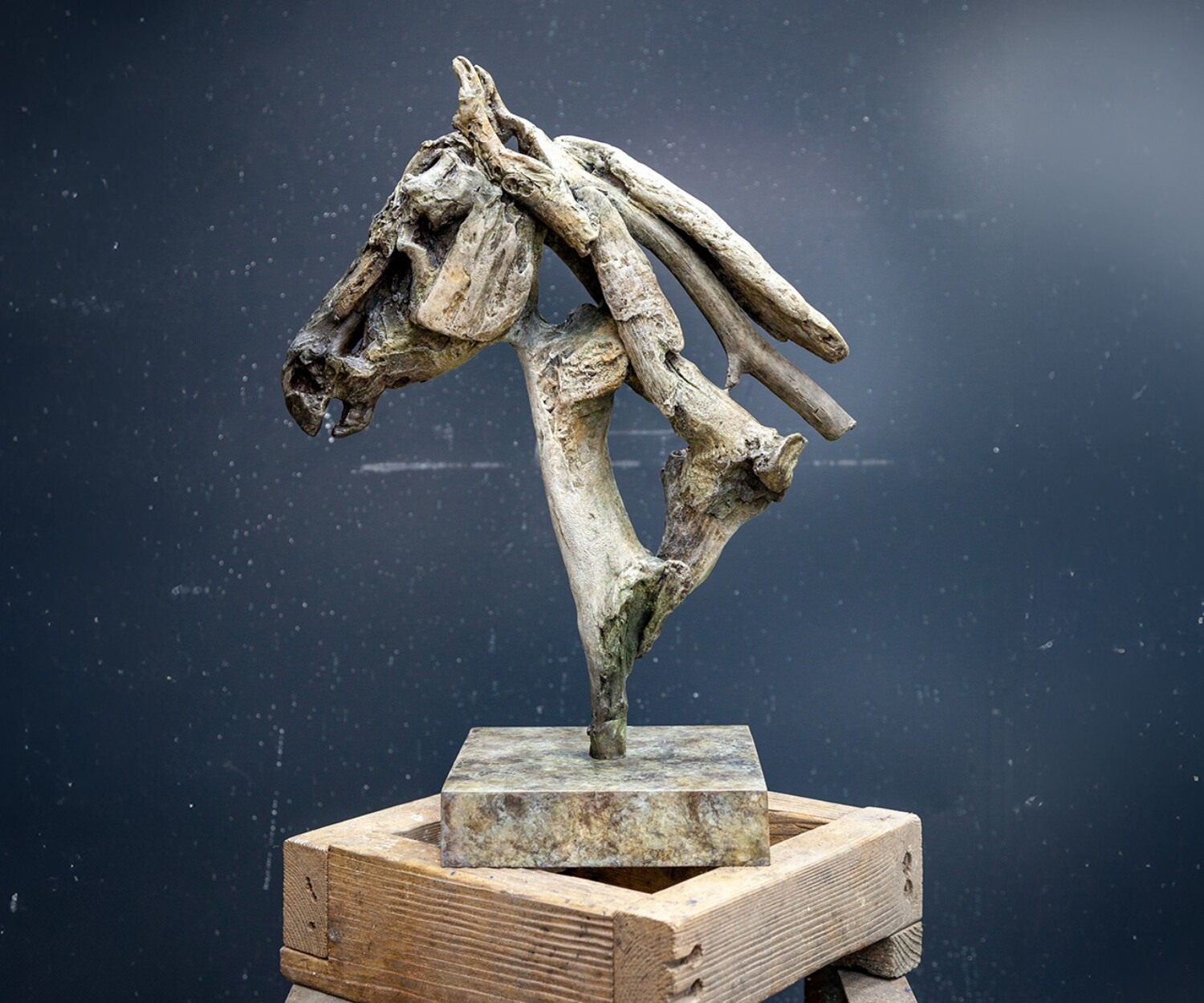 Jupiter bronze by Heather Jansch