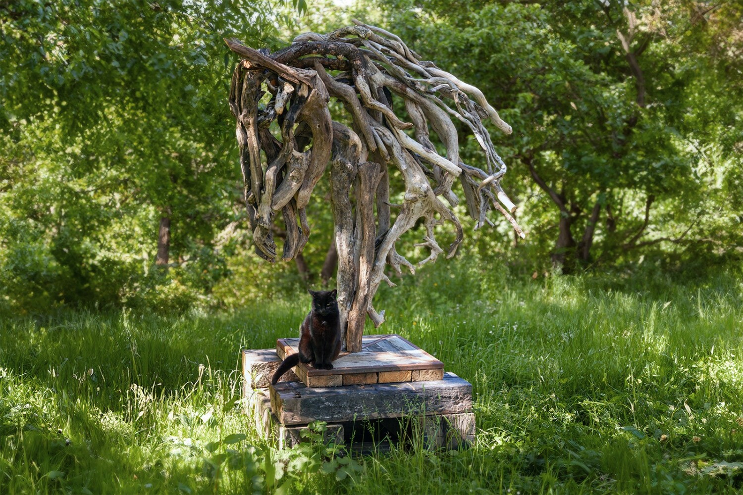 Heather Jansch Sculpture Regis