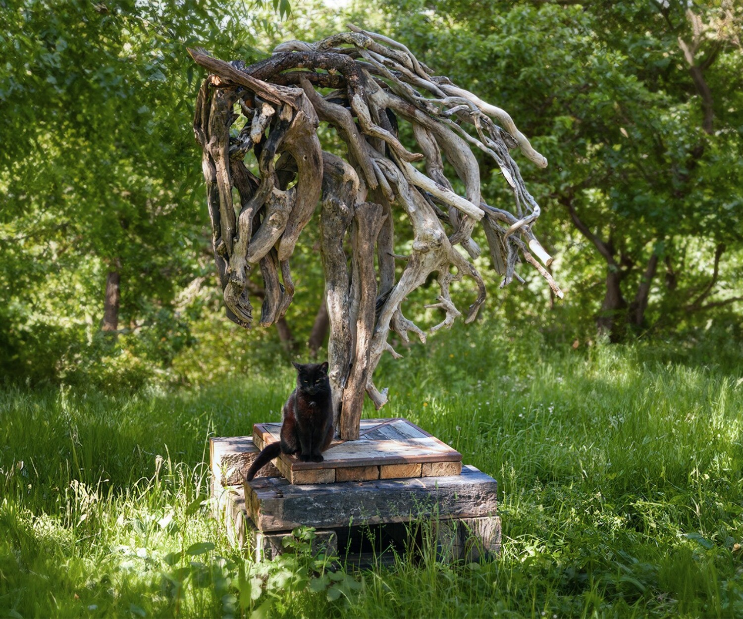 Heather Jansch Sculpture Regis